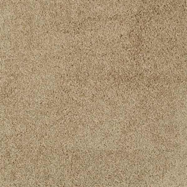 Masland Carpets Miami Sea Urchin Masland