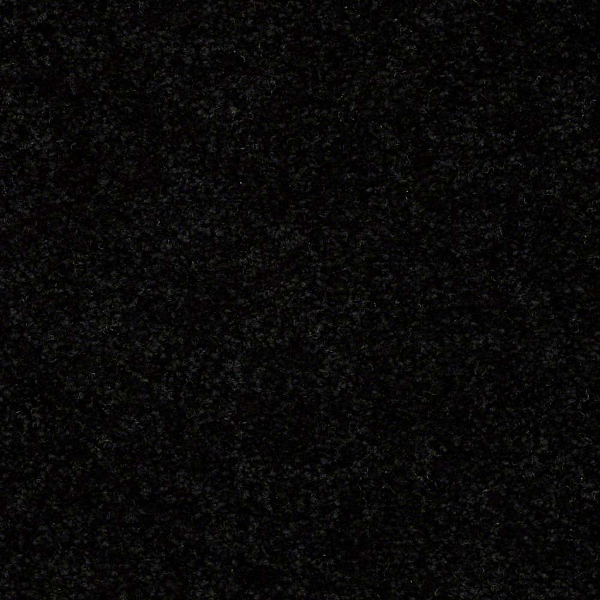 Shaw Floors Newbern Classic 12 Coal Black SHAW