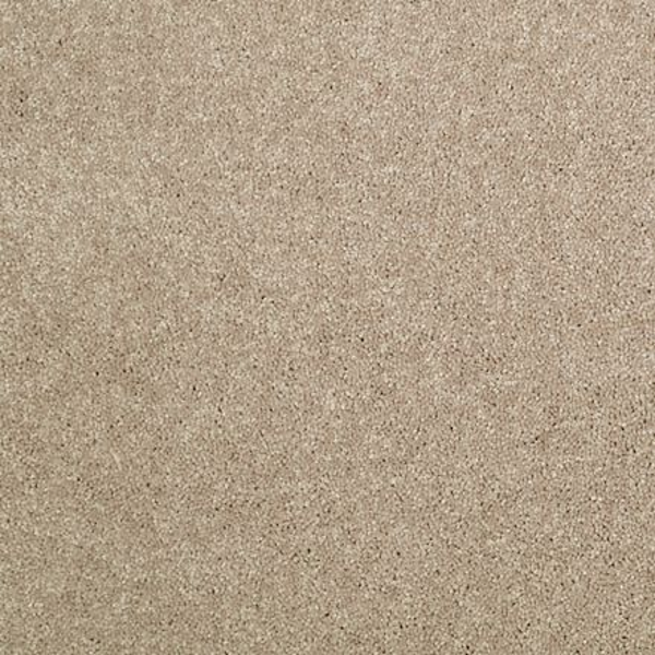 Shaw Floors Dalton 30 15' Dusty Trail SHAW