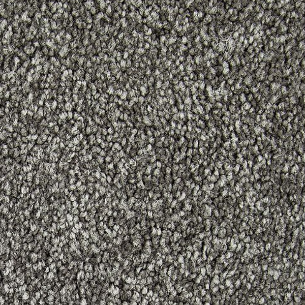 Horizon Carpet Memorable View Manos House Mohawk