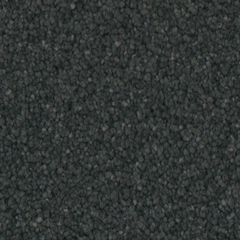 Tarkett Home Carpets Balmoral Garden LEXMARK