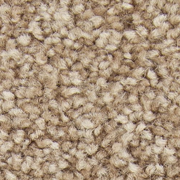 Horizon Carpet Exceptional Choice Nouveau Mohawk