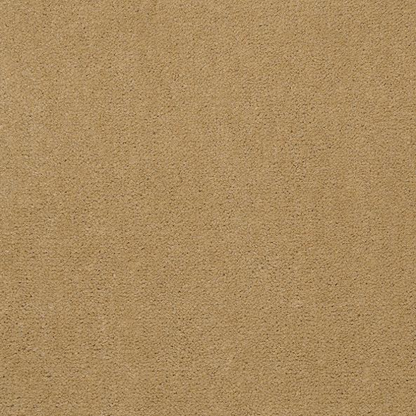 Philadelphia Commercial Emphatic II 36 Honeywheat Shaw
