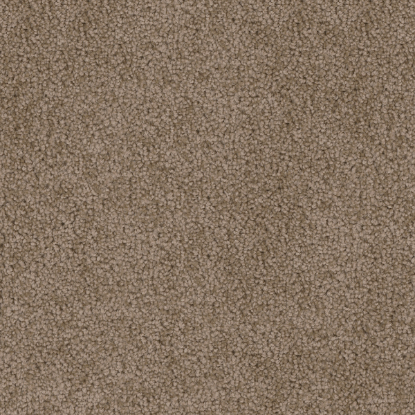 Dreamweaver Carpet Cedar Creek Taupe DREAMWEAVER