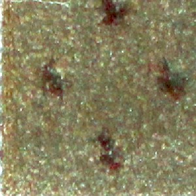 Milliken Carpets Legacy Khaki