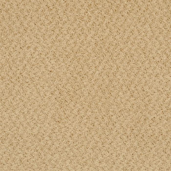 Masland Carpets New Hope Fawn Masland