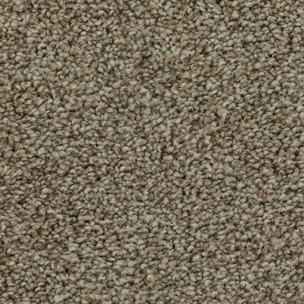 Mohawk Carpet Effortless Choice Haven Mohawk