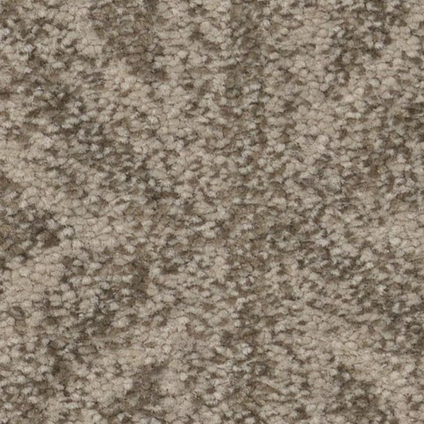 Tuftex Enlightened Toasty Gray SHAW