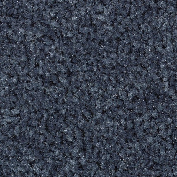 Mohawk Carpet Treasure Valley Endless Blue Mohawk