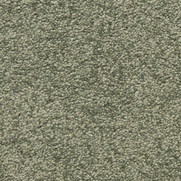 Masland Carpets Morgan Bay Muir Woods Masland