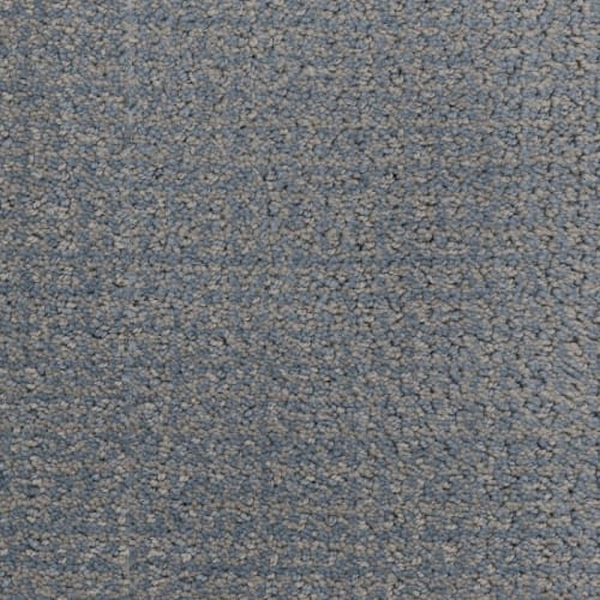 Masland Carpets Pedigree Muttley Crew Masland