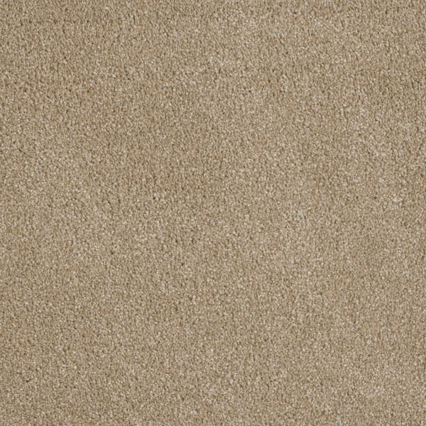 Dreamweaver Carpet Luxor III Cashmere DREAMWEAVER