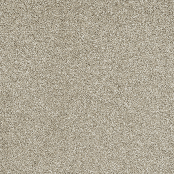 Dreamweaver Carpet Rock Solid II Cream DREAMWEAVER