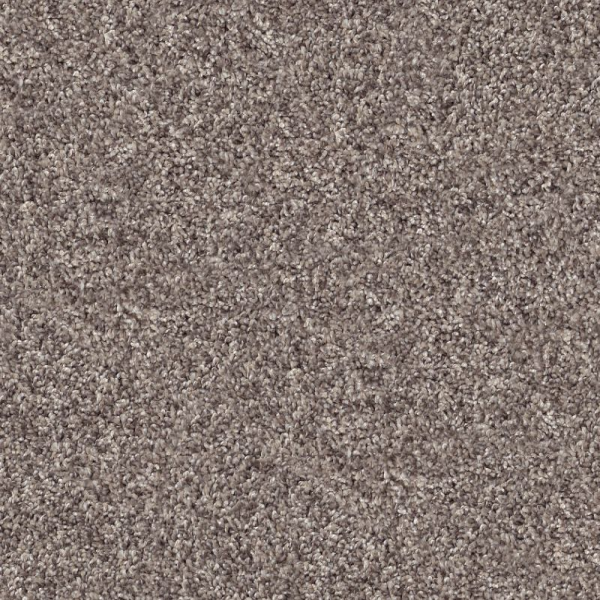 Shaw Floors Inlet Shore I 12 Smooth Satin SHAW