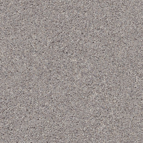 Shaw Floors Inlet Shore I 15 Brushed Nickel SHAW