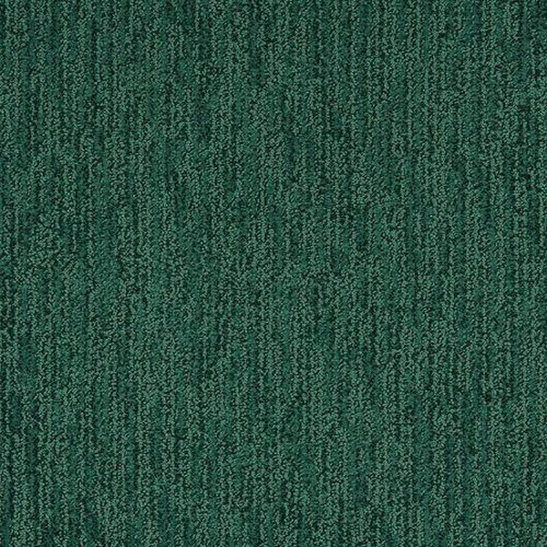 Masland Carpets Mesa Bella Bosque Masland