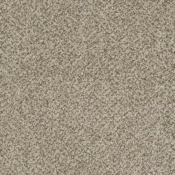 Dreamweaver Carpet Brazen II Acadia DREAMWEAVER