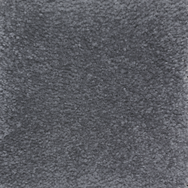 Mohawk Carpet Homefront II Royal Mohawk