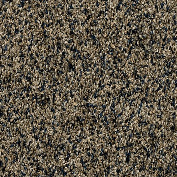 Mohawk Carpet Purrsonality I Dark Hour Mohawk