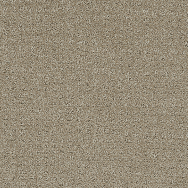 Dreamweaver Carpet Common Ground Fieldcrest DREAMWEAVER