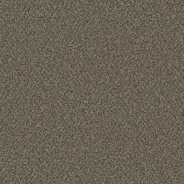 Dreamweaver Carpet Royale II Fawn DREAMWEAVER