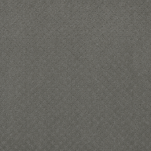 Dreamweaver Carpet Capri Skyway DREAMWEAVER