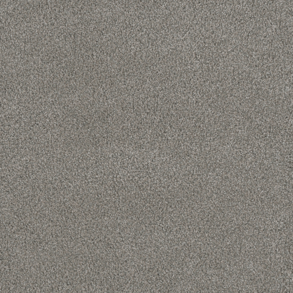 Dreamweaver Carpet Monte Carlo II Winterscape DREAMWEAVER