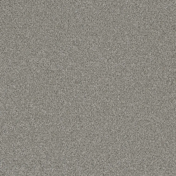 Dreamweaver Carpet Royale II Winterscape DREAMWEAVER