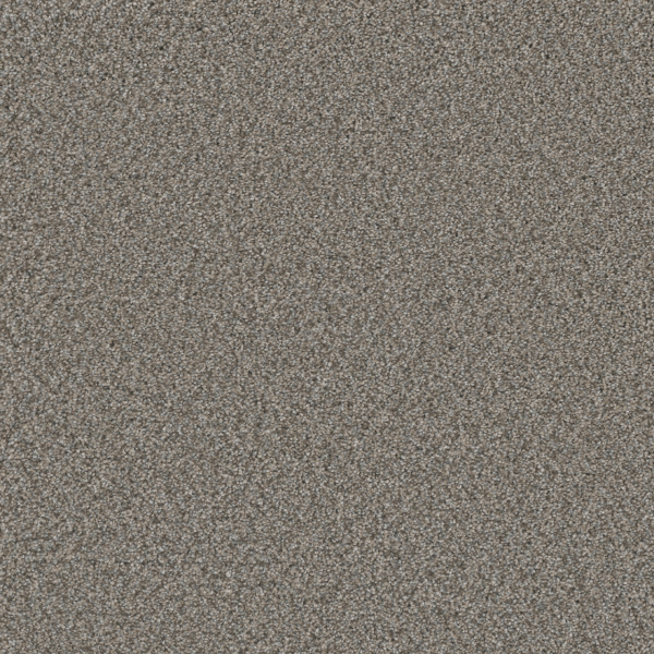 Dreamweaver Carpet Royale II Dogwood DREAMWEAVER