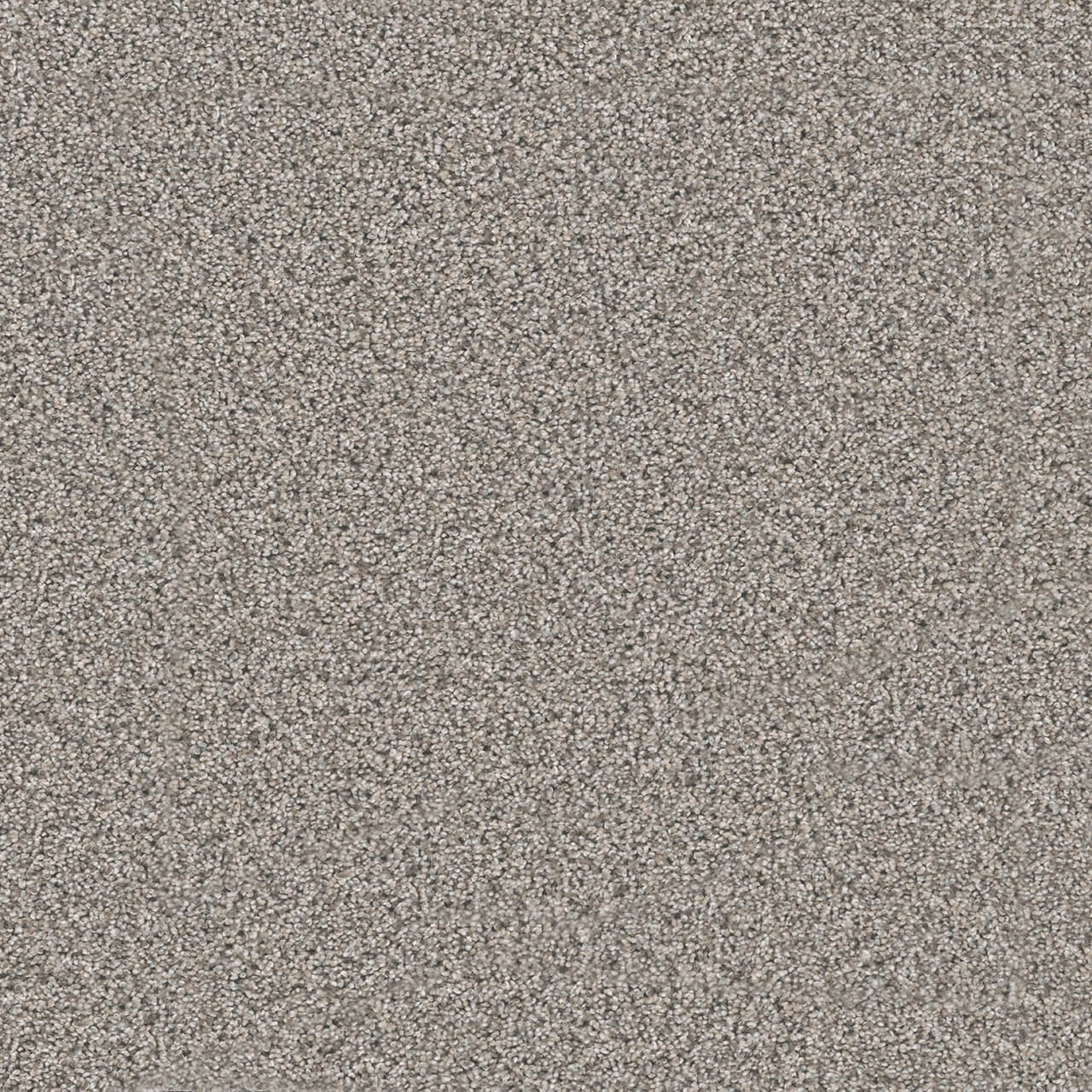 Dreamweaver Carpet Windy City II Cottonwood DREAMWEAVER