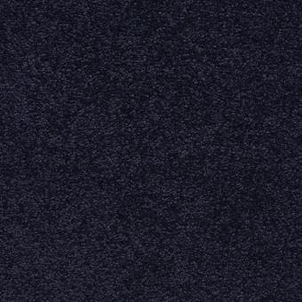 Masland Carpets Knockout Royal Masland