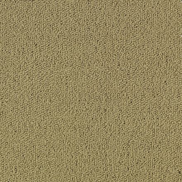 Philadelphia Commercial Color Accents BL Pecan Shaw