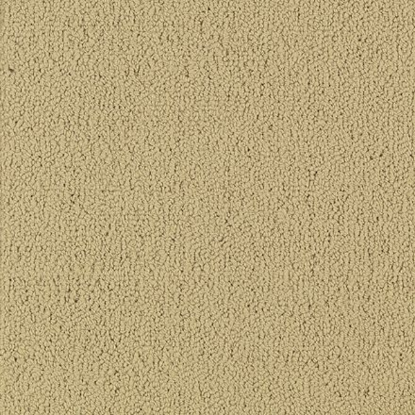 Philadelphia Commercial Color Accents BL Flax Shaw