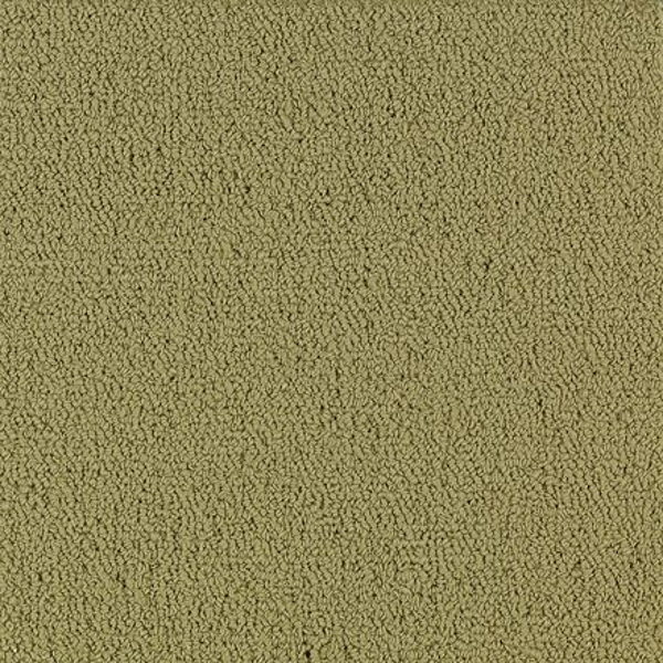 Philadelphia Commercial Color Accents BL Herbal Shaw