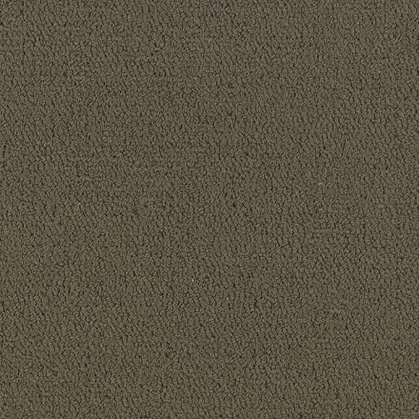 Philadelphia Commercial Color Accents BL Timber Shaw