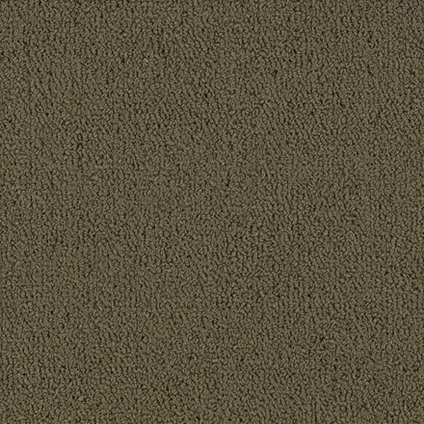 Philadelphia Commercial Color Accents BL Suede Shaw