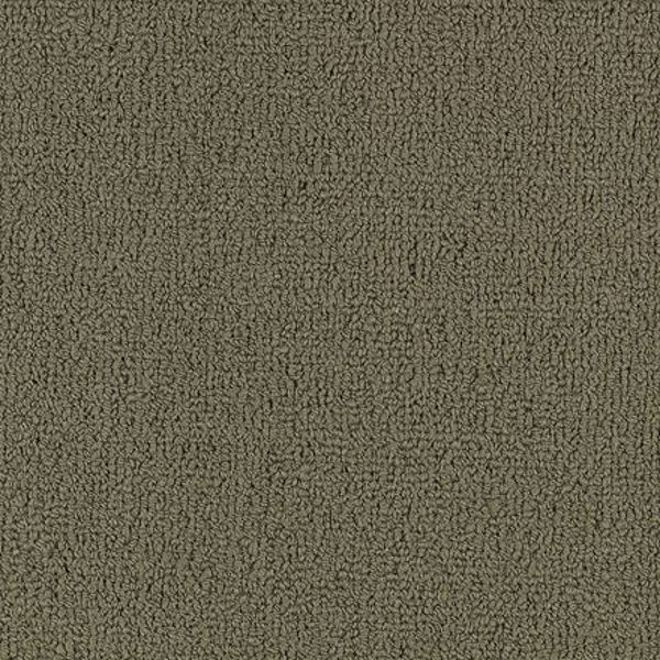 Philadelphia Commercial Color Accents BL Portabella Shaw