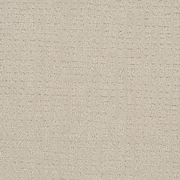 Dreamweaver Carpet Common Ground Alabaster DREAMWEAVER