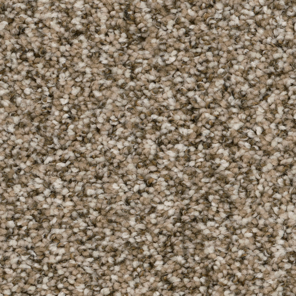 Dreamweaver Carpet Jackson Hole I Pebble DREAMWEAVER