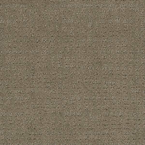 Dreamweaver Carpet Common Ground Topaz DREAMWEAVER