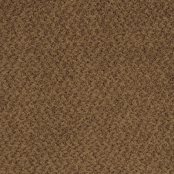 Masland Carpets New Hope Walnut Masland