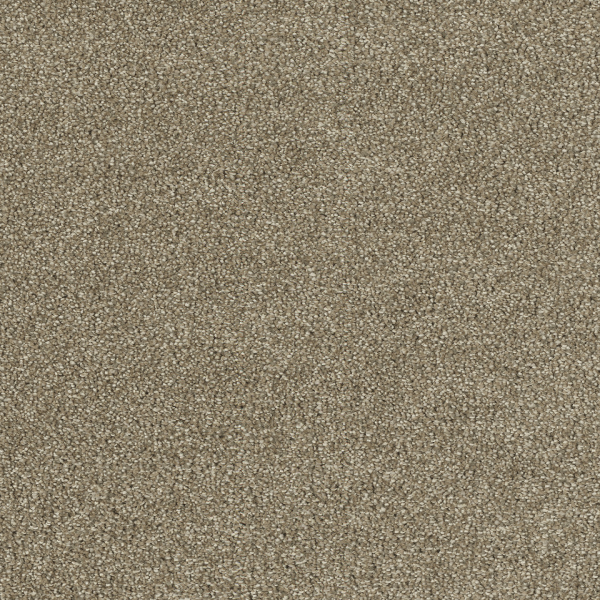 Dreamweaver Carpet Hollywood Sienna Sand DREAMWEAVER