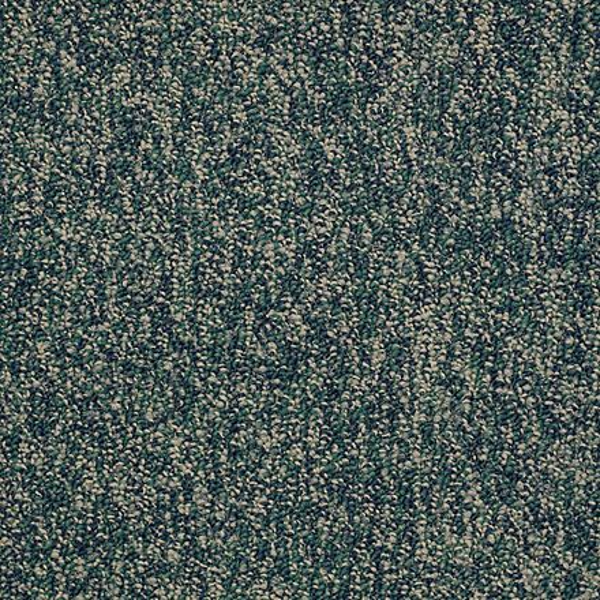 Shaw Floors All The Rage 26 Infinity SHAW