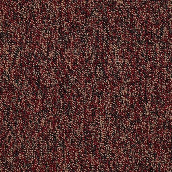 Shaw Floors All The Rage 26 Abundance SHAW