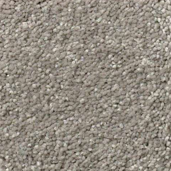 Shaw Floors Solidify III 12 Tree Bark SHAW
