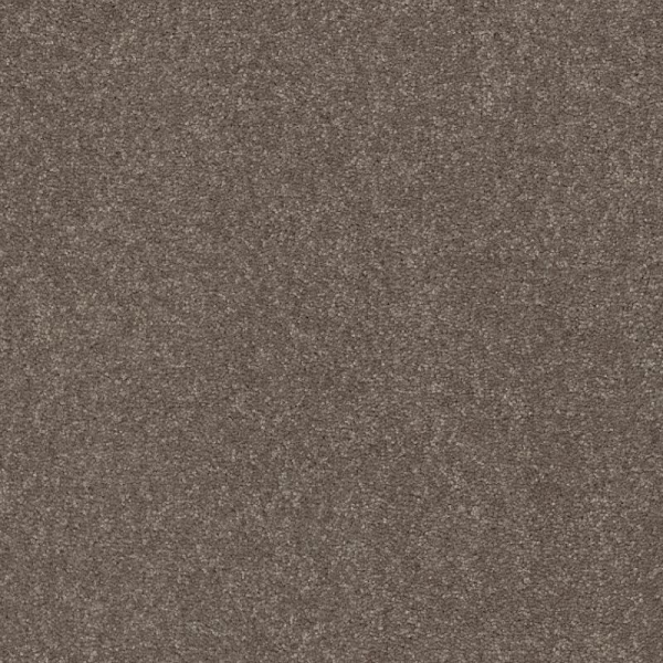 Shaw Floors Easy Spirit II 12 Pewter SHAW
