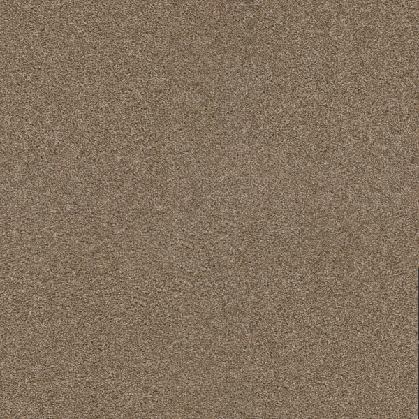 Dreamweaver Carpet Exceptional II Sawgrass DREAMWEAVER