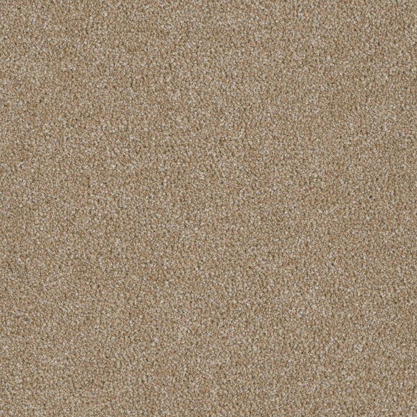Dreamweaver Carpet Luxor I Sawgrass DREAMWEAVER