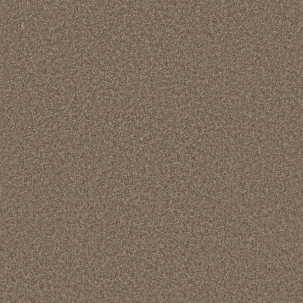 Shaw Floors Affirmation I Spanish Brown SHAW