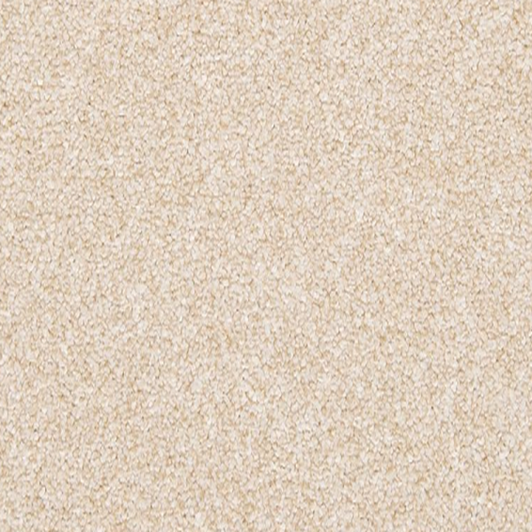 Mohawk Carpet Dynamic Quality I Sheepskin Mohawk